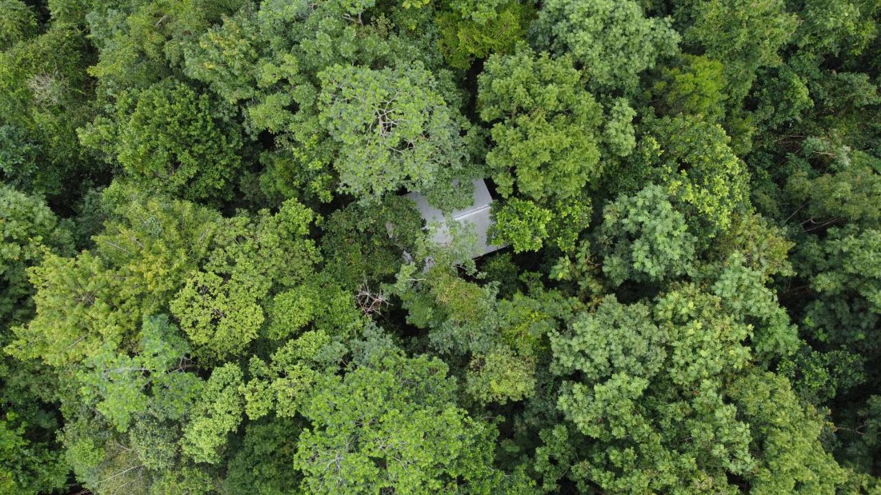 Yatama Rainforest Ecolodge Sarapiquí Exterior foto