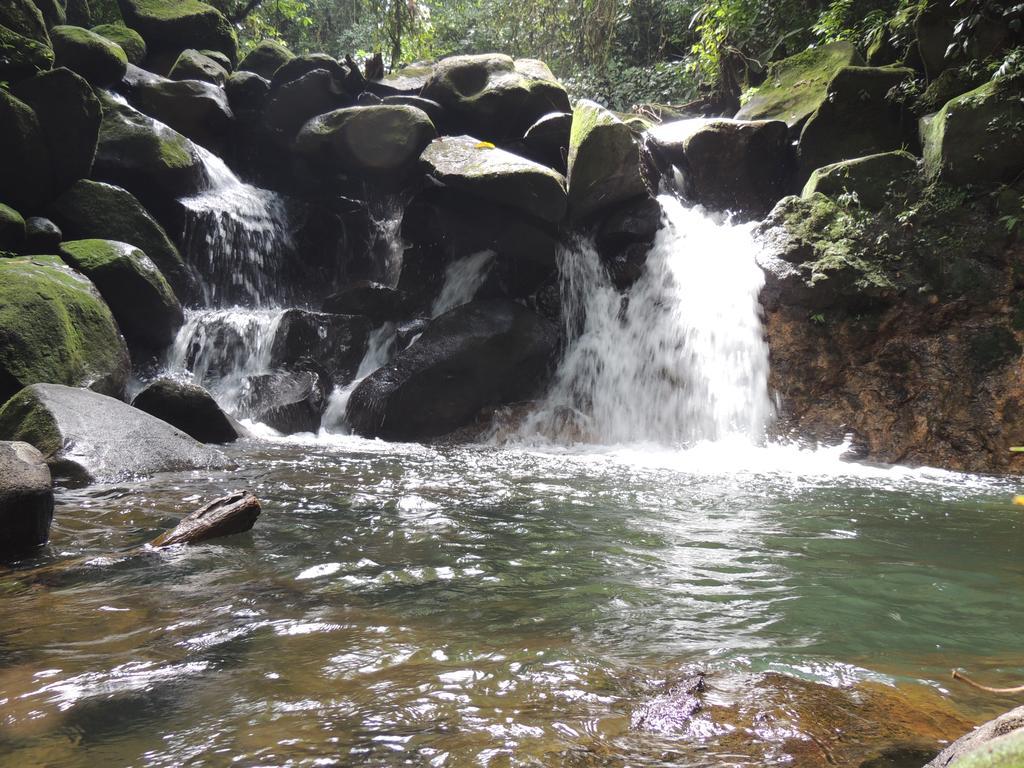 Yatama Rainforest Ecolodge Sarapiquí Exterior foto