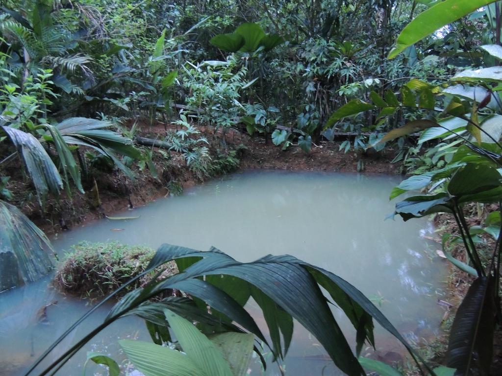 Yatama Rainforest Ecolodge Sarapiquí Exterior foto