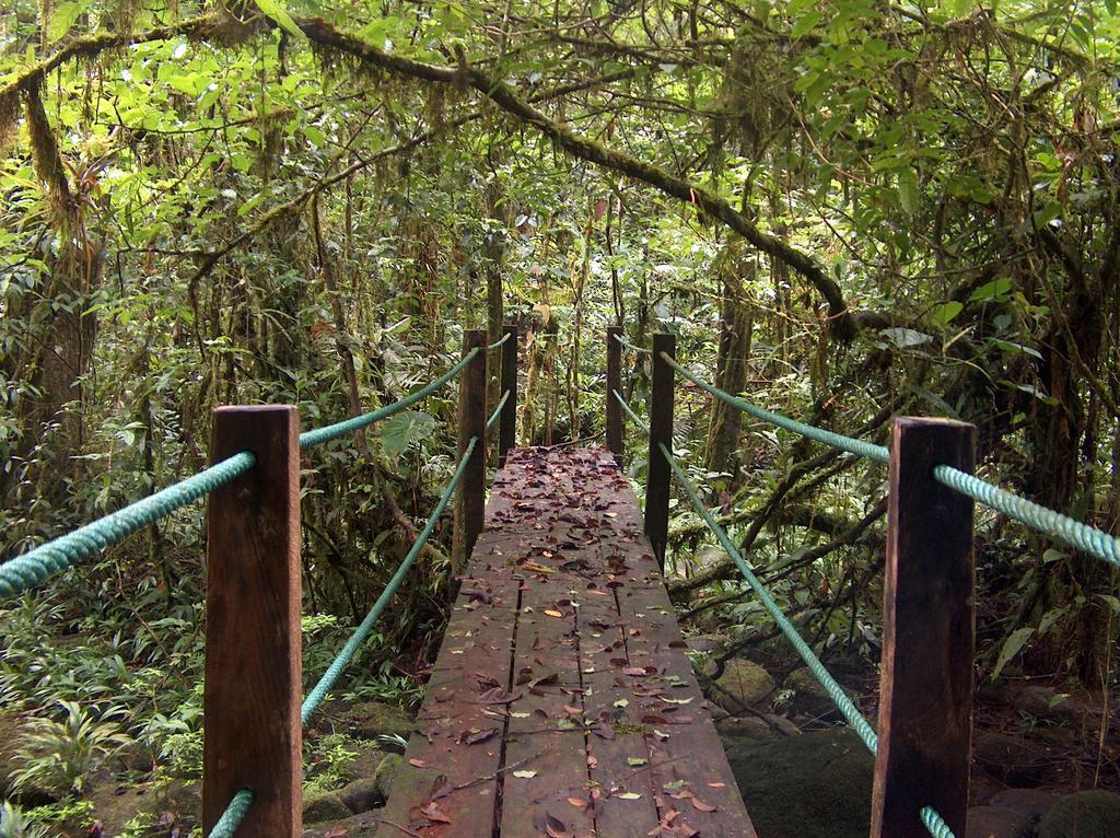 Yatama Rainforest Ecolodge Sarapiquí Exterior foto