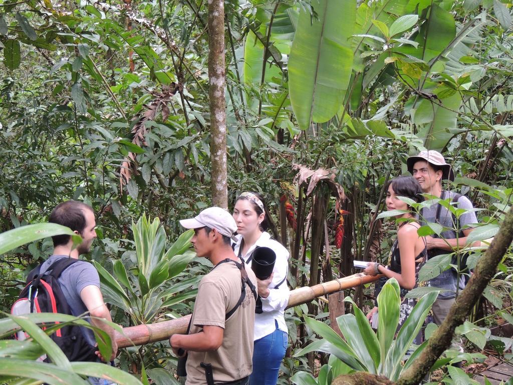 Yatama Rainforest Ecolodge Sarapiquí Exterior foto