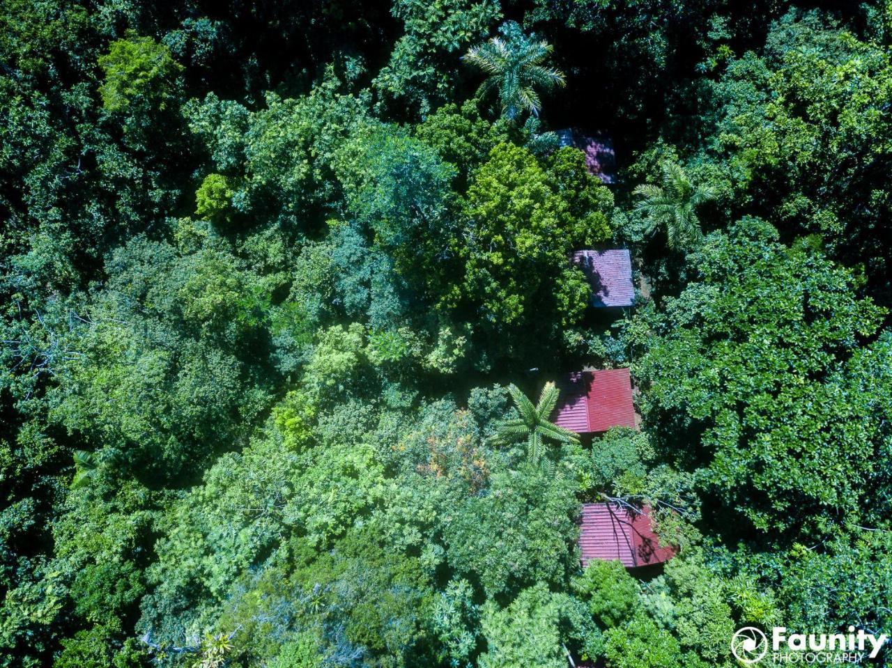 Yatama Rainforest Ecolodge Sarapiquí Exterior foto